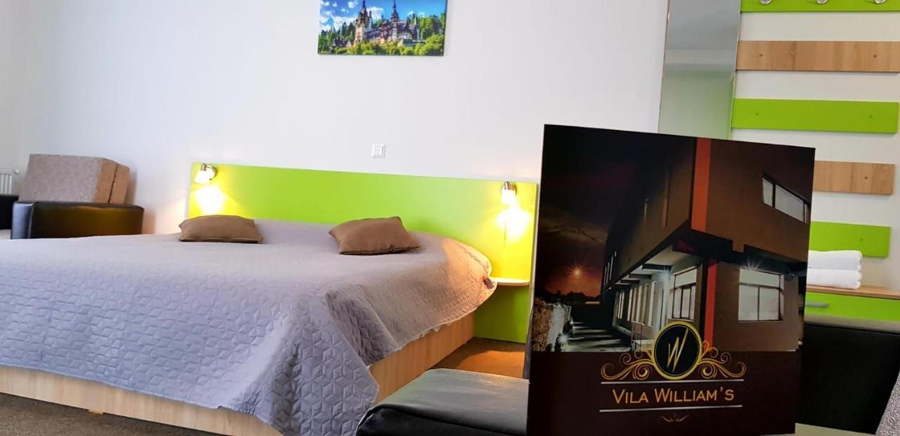 Vila William'S Brasov Exterior photo