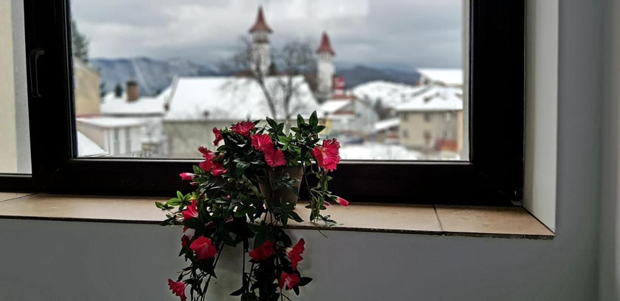 Vila William'S Brasov Exterior photo